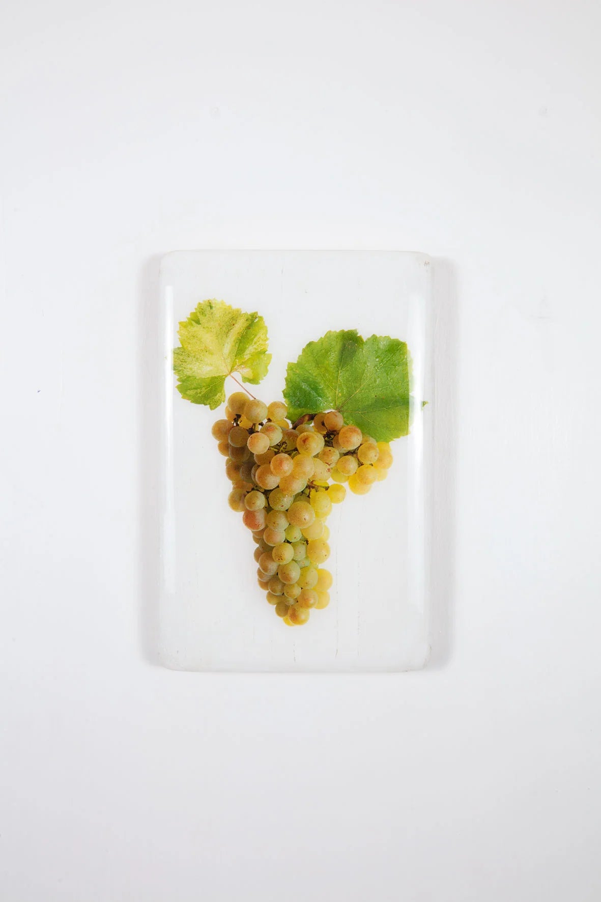 StigerWoods wooden tile Bourgogne Puligny Chevalier-Montrachet Chardonnay