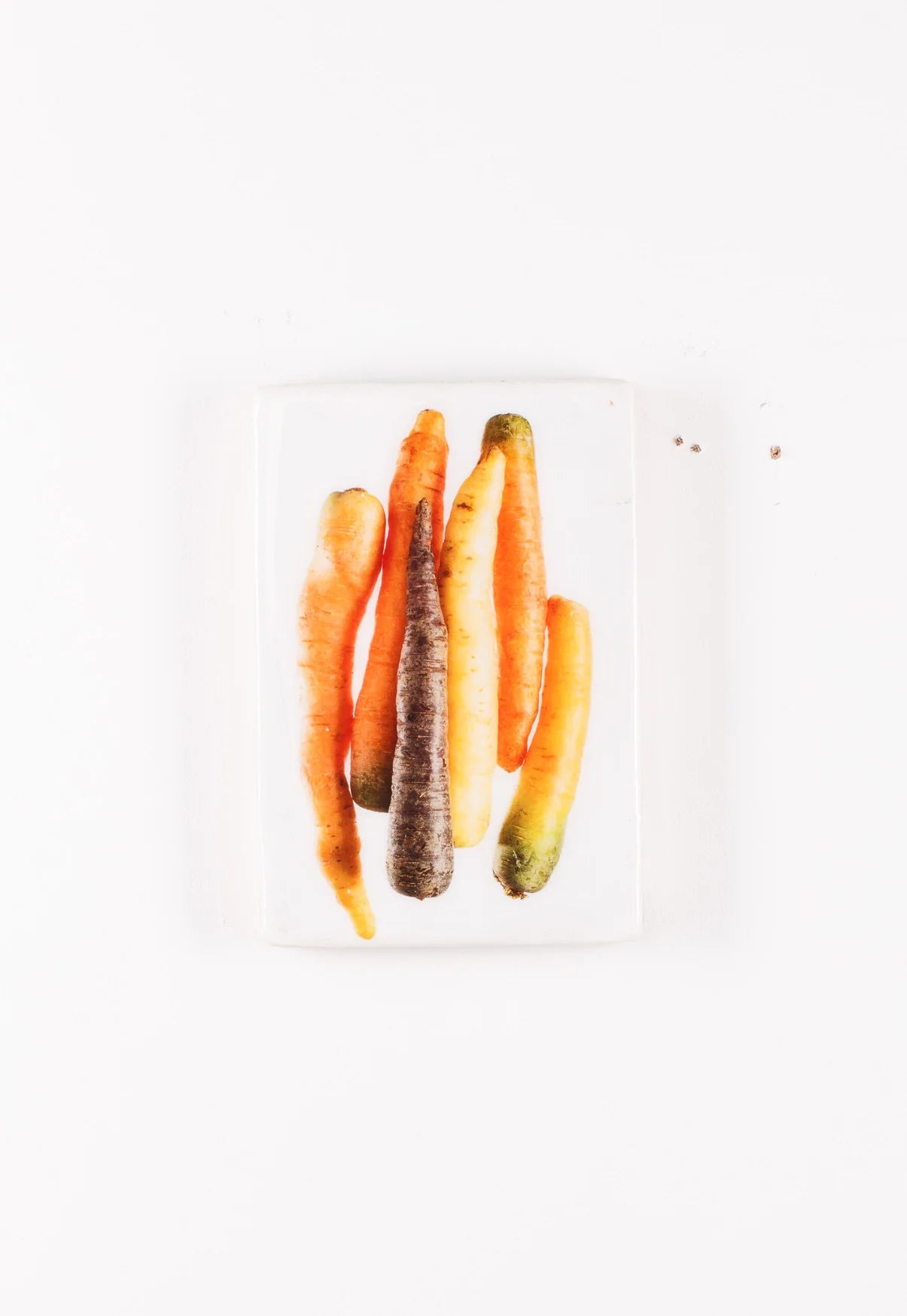 StigerWoods wooden tile Coloured Carrots