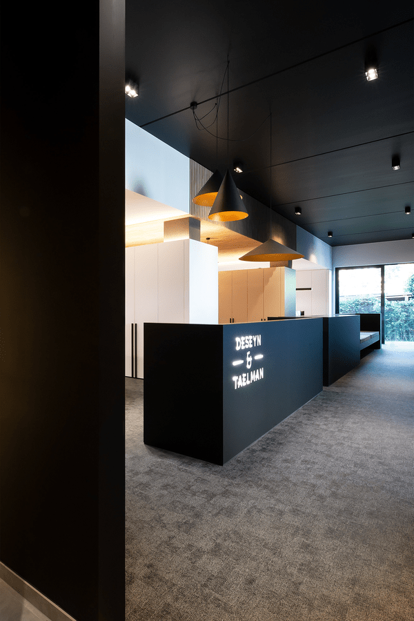 Wever & Ducré DINOR hanglamp - Kavel 84