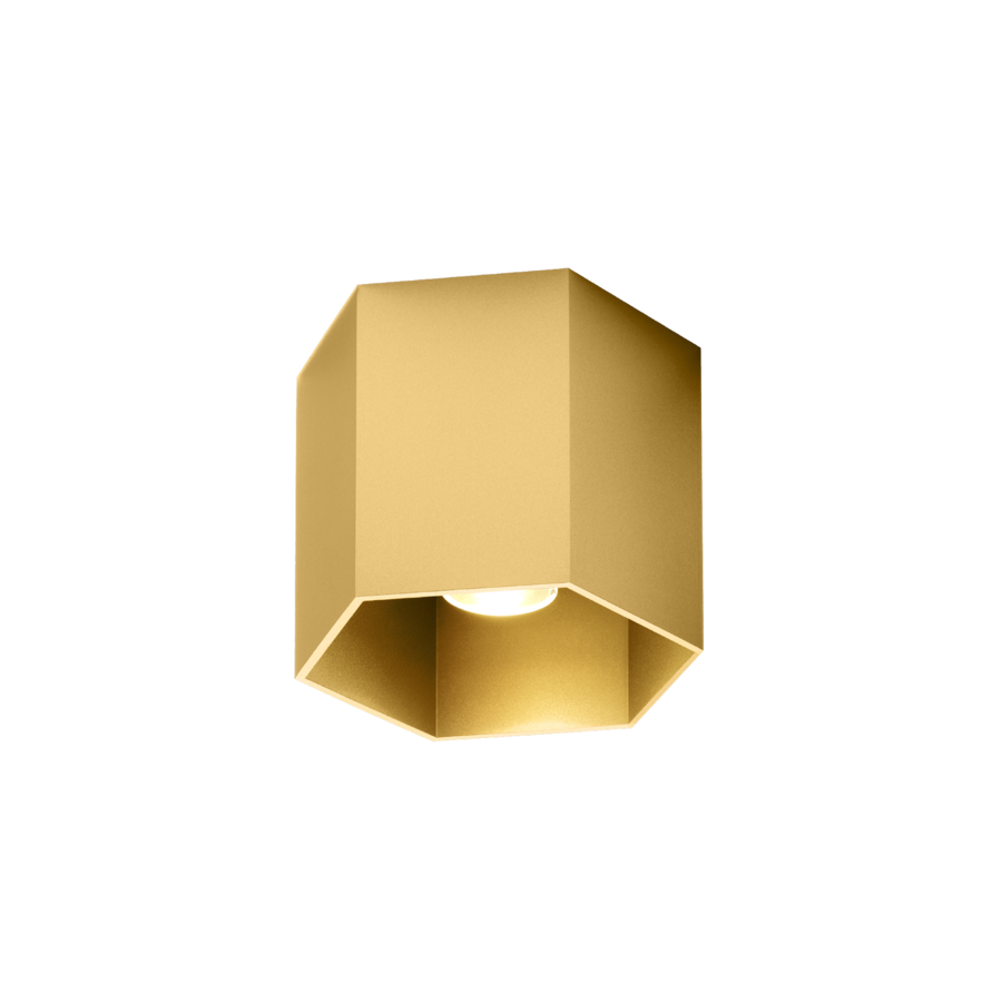 Wever & Ducré HEXO opbouwspot