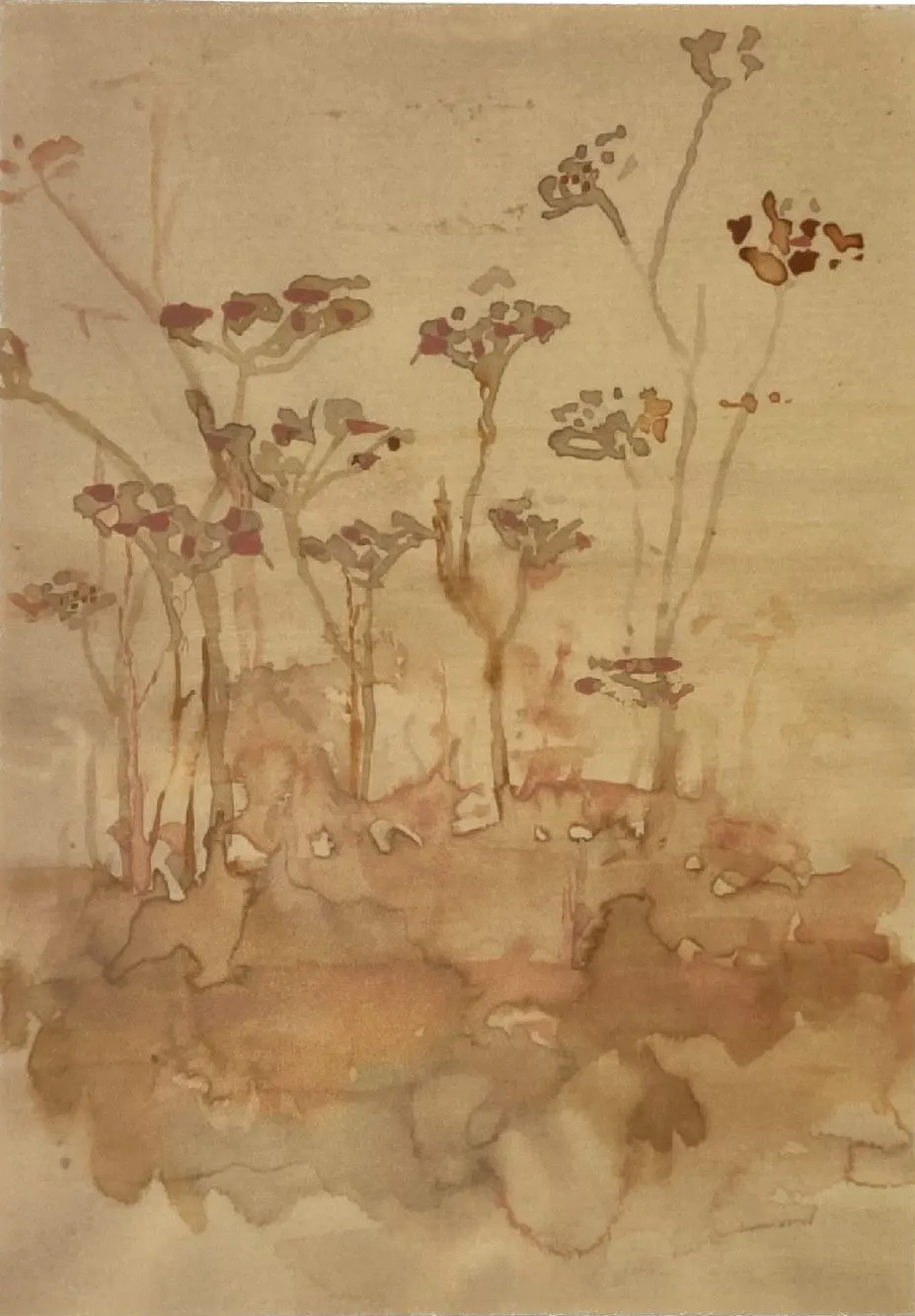 TinyStories Poster met Lijst - Wild Flowers