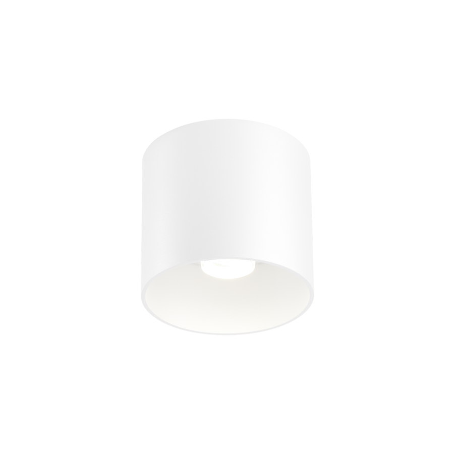 Wever & Ducré RAY opbouwspot