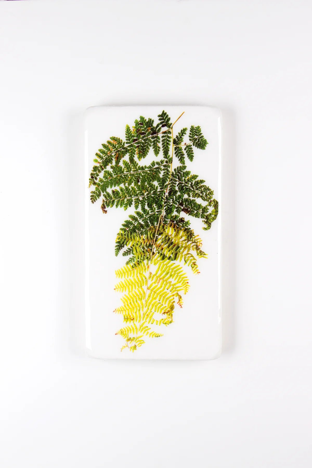 StigerWoods wooden tile Two Fern Leaves