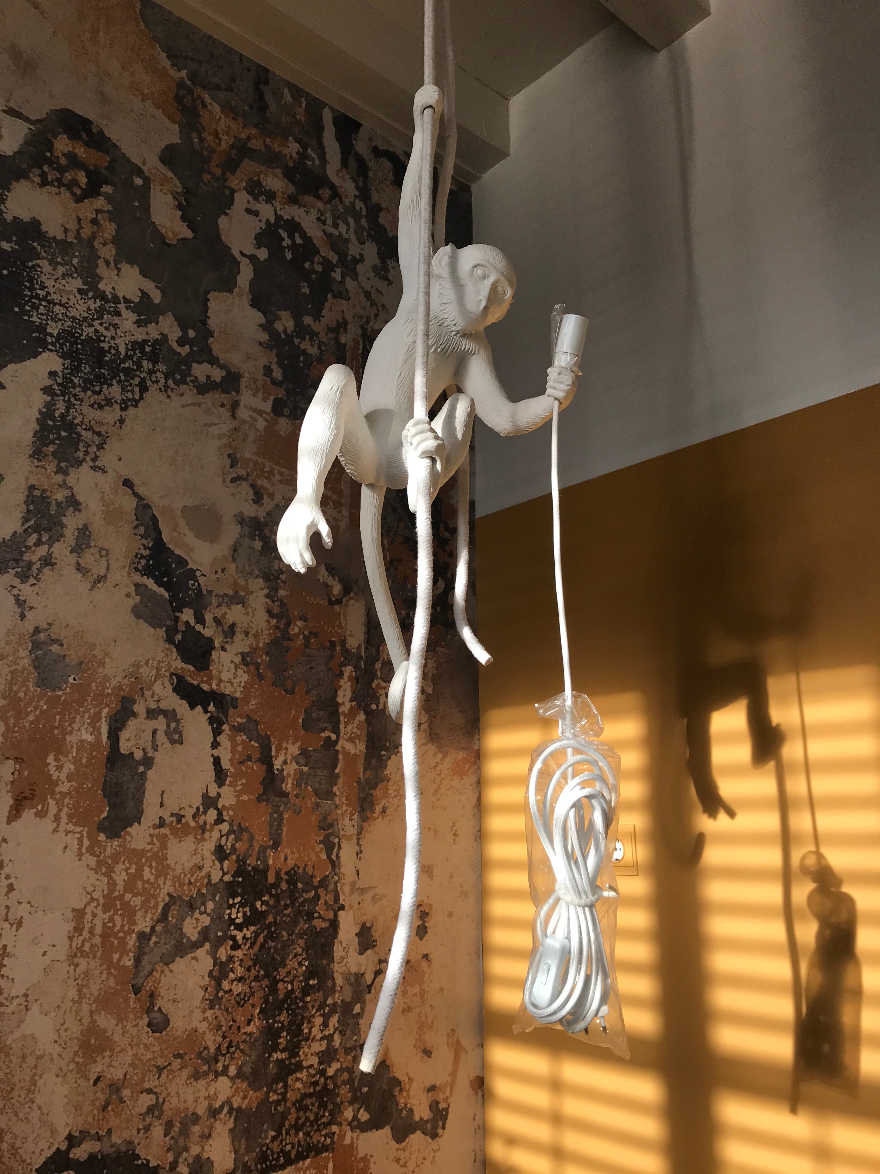 Seletti Aaplamp Hanging Ceiling wit