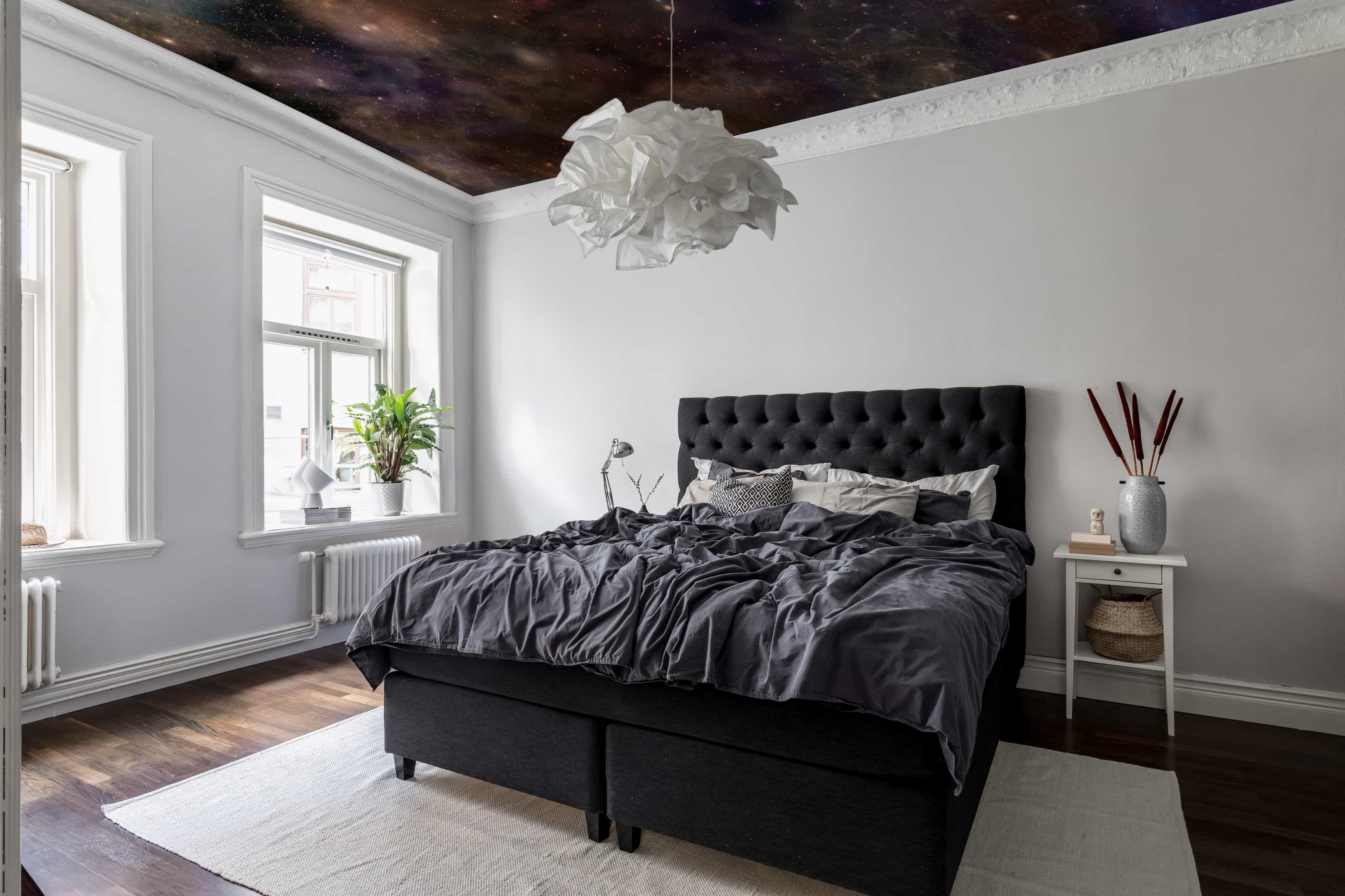 Rebel Walls Star Galaxy