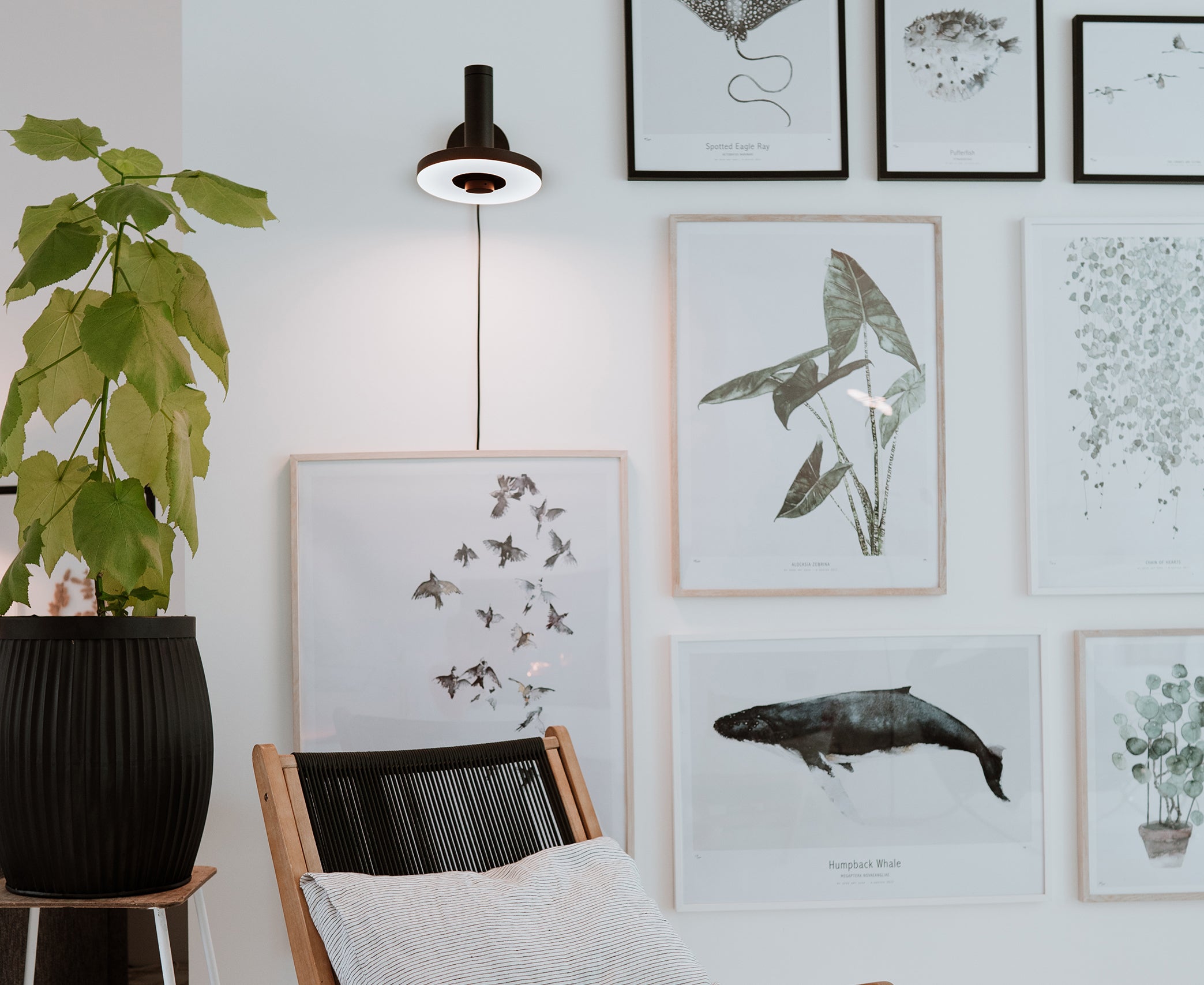 Sfeerbeeld van de Tonone Beads Wall 35 wandlamp downlight in de kleur smokey black.