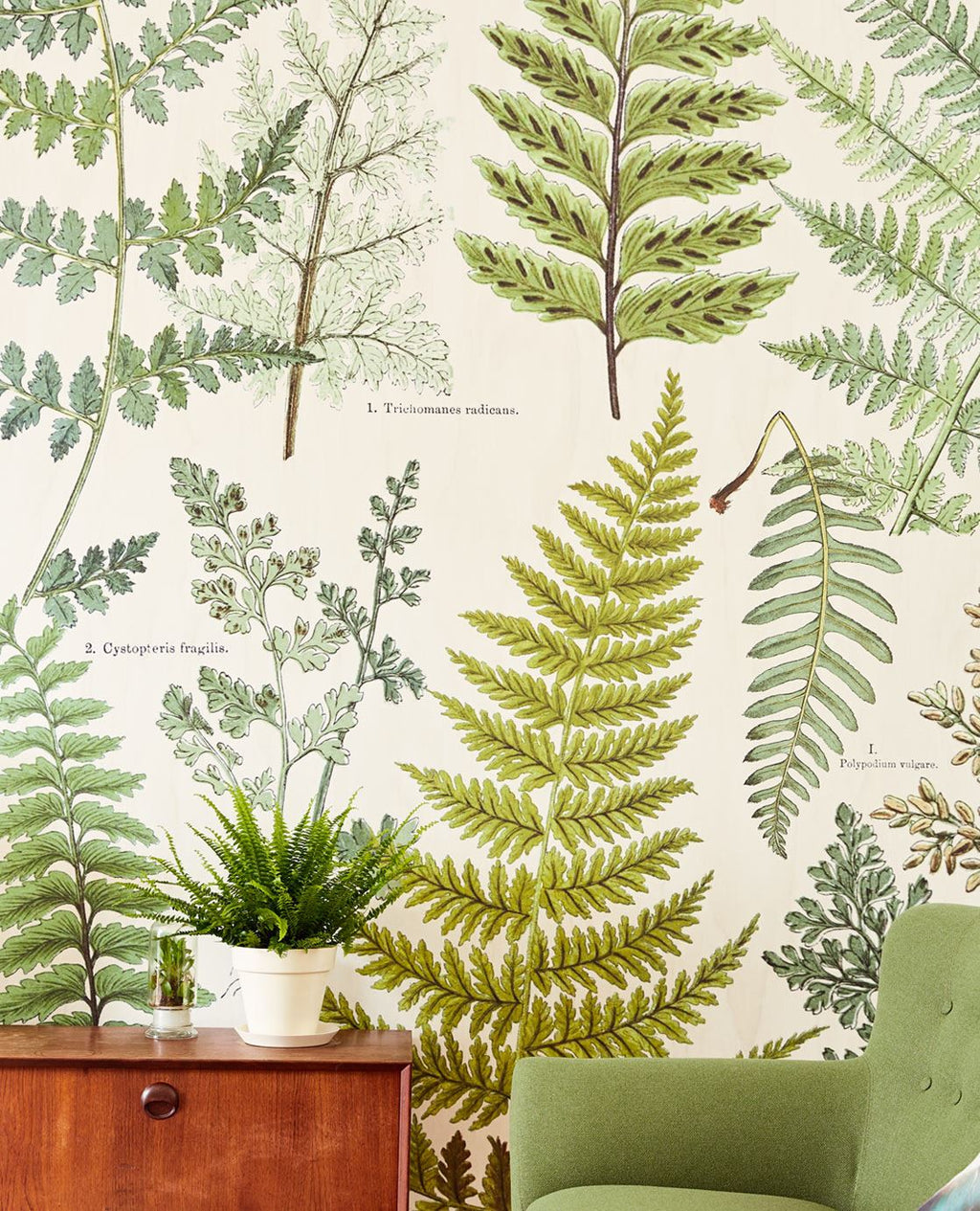 Eijffinger behang GeoNature Fern
