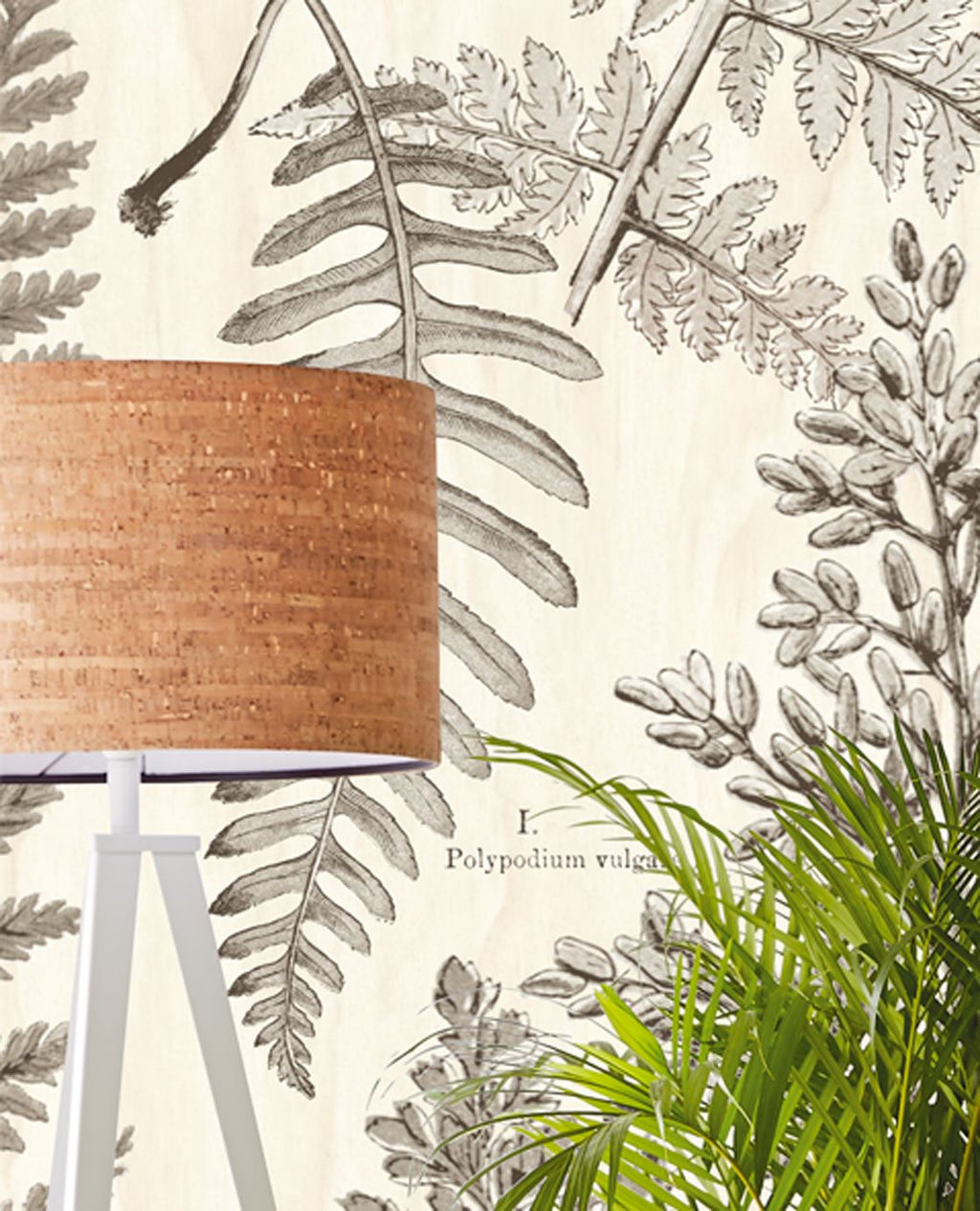 Eijffinger behang GeoNature Fern