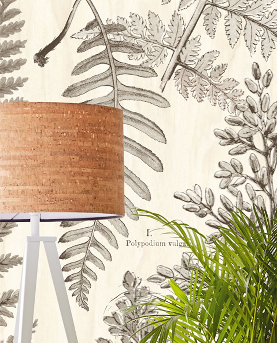 Eijffinger behang GeoNature Fern