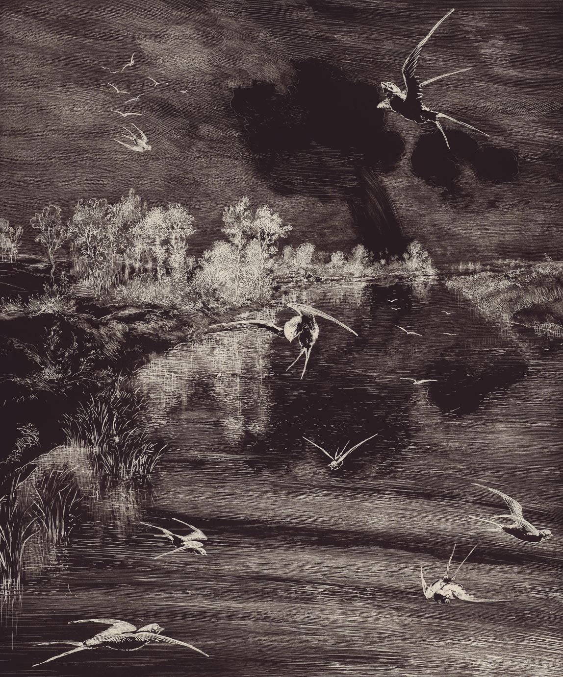 Eijffinger behang GeoNature Bird's Eye