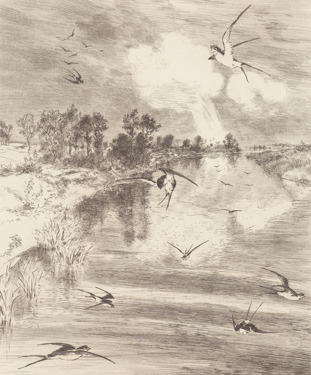 Eijffinger behang GeoNature Bird's Eye