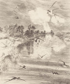Eijffinger behang GeoNature Bird's Eye