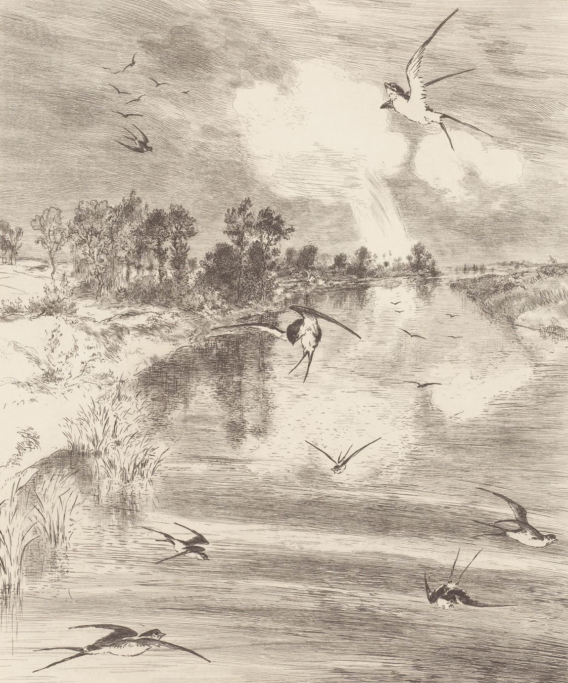 Eijffinger behang GeoNature Bird's Eye