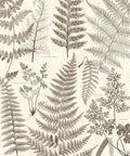 Eijffinger behang GeoNature Fern
