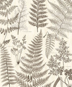 Eijffinger behang GeoNature Fern
