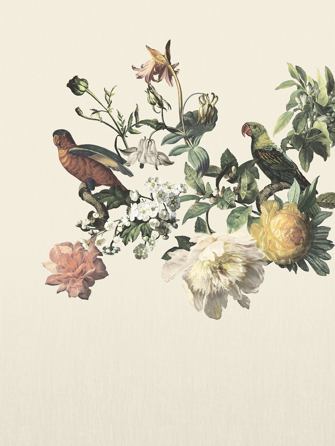 Eijffinger behang Museum Botanic Harmony