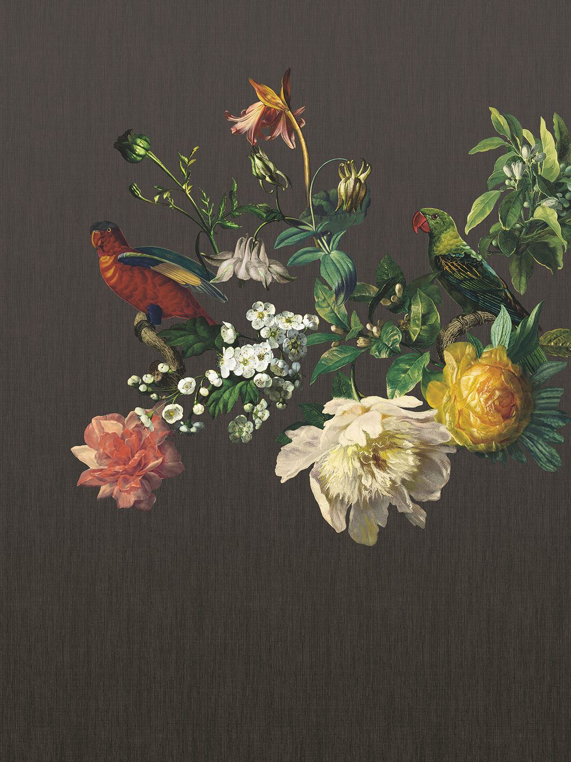 Eijffinger behang Museum Botanic Harmony