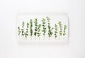 StigerWoods wooden tile 11 Marjoram