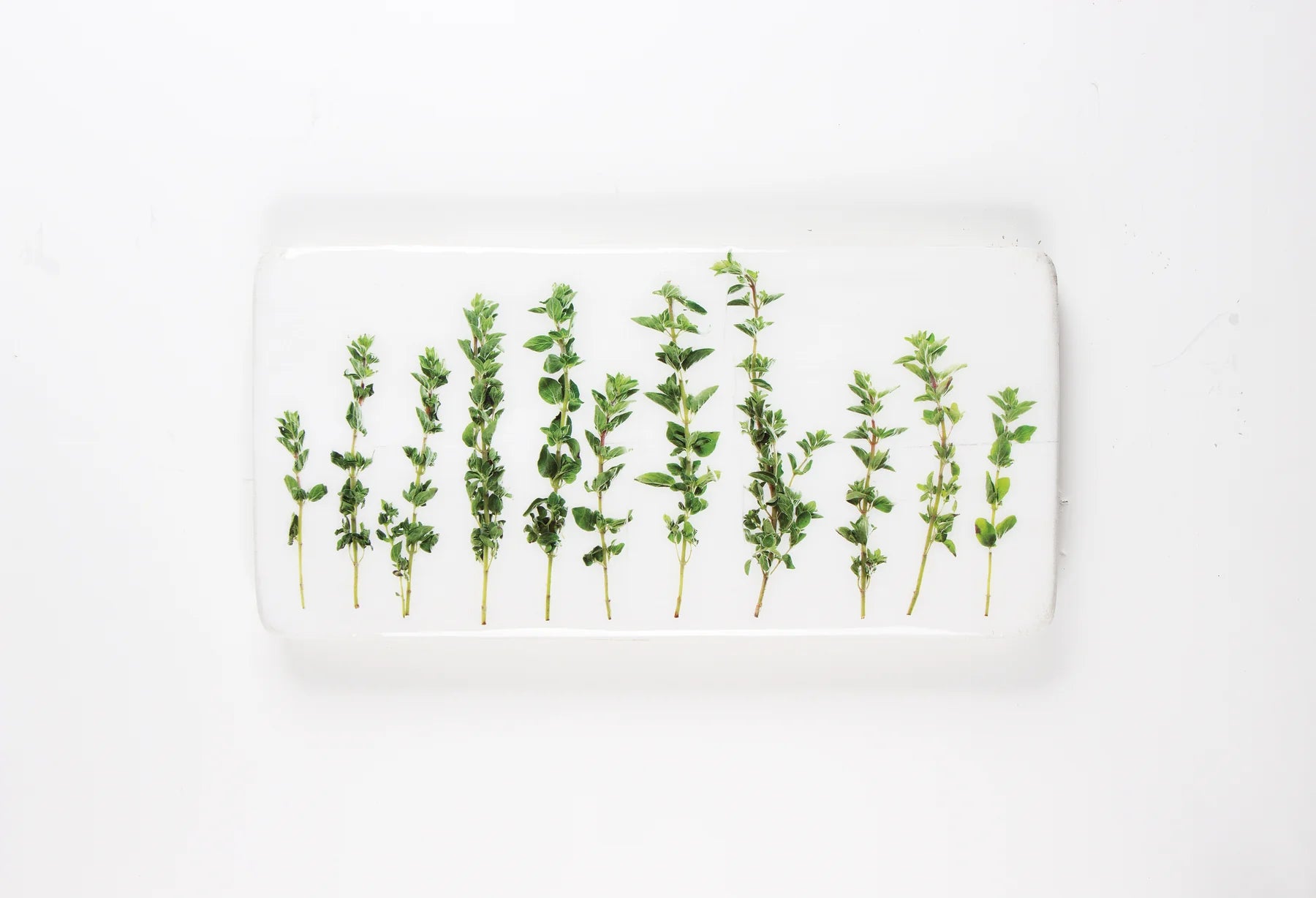 StigerWoods wooden tile 11 Marjoram
