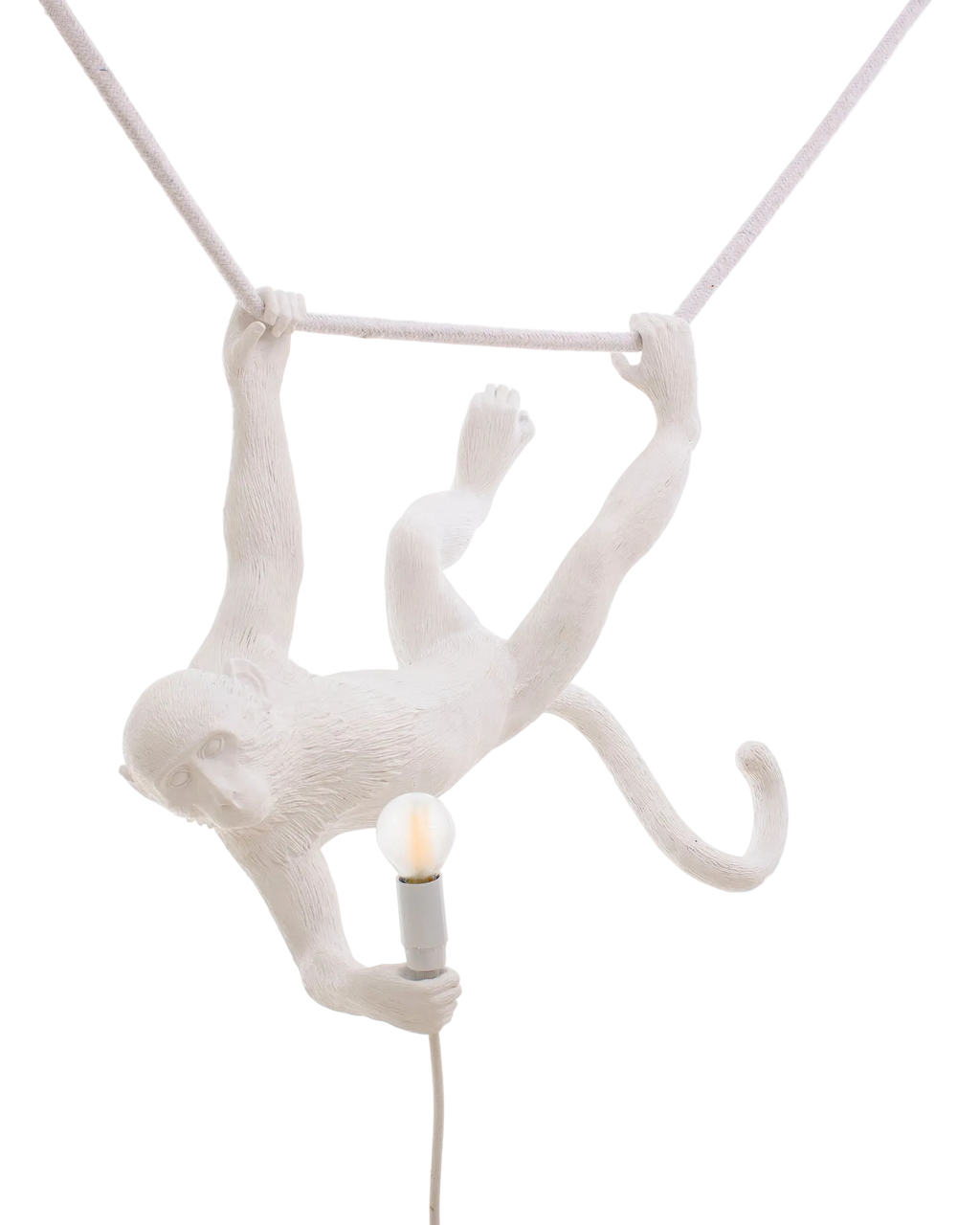 Seletti Aaplamp Hanging Swing
