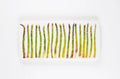 StigerWoods wooden tile 19 Green Asparagus
