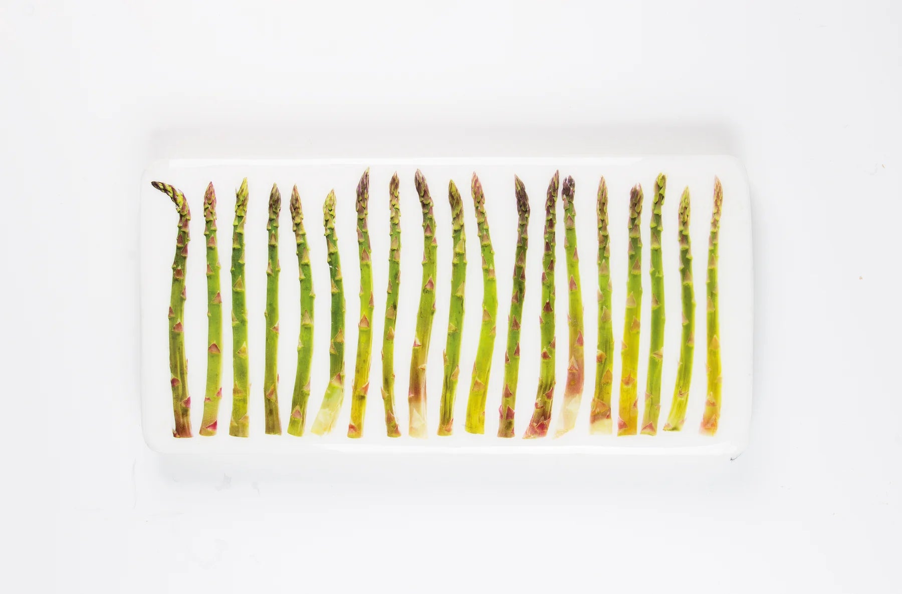 StigerWoods wooden tile 19 Green Asparagus
