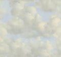 Eijffinger wandpaneel Magnifique Head in the Clouds