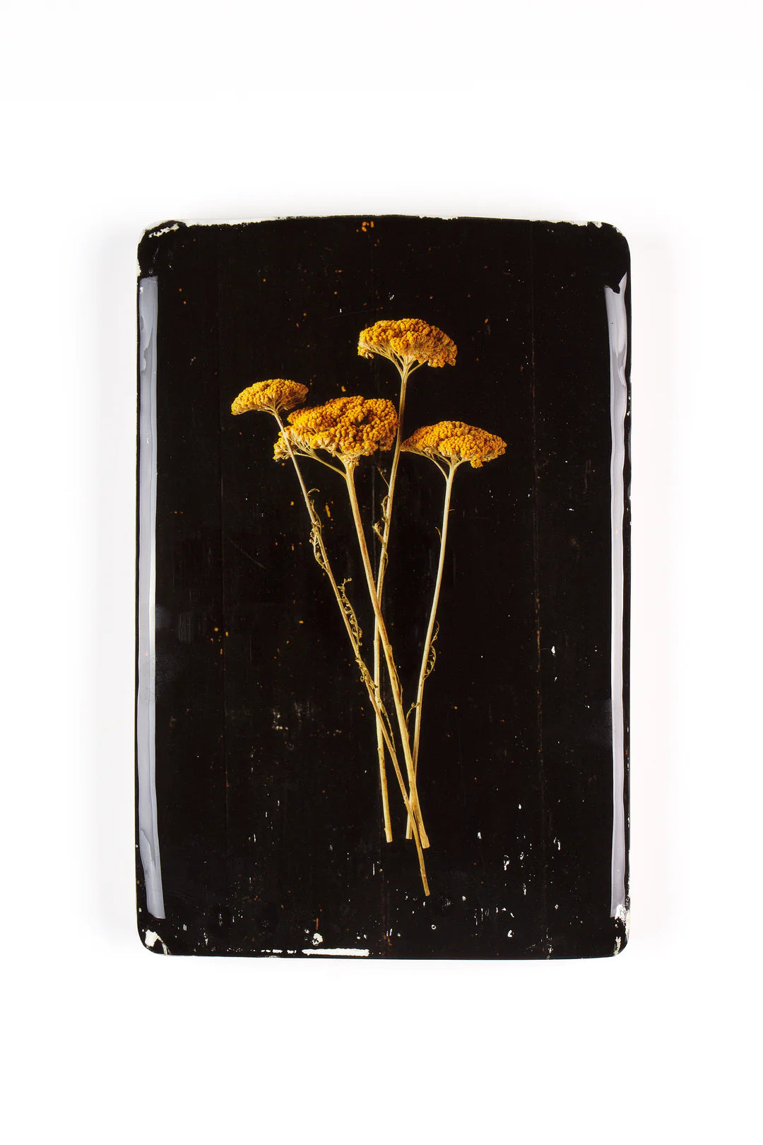 StigerWoods wooden tile Achillea
