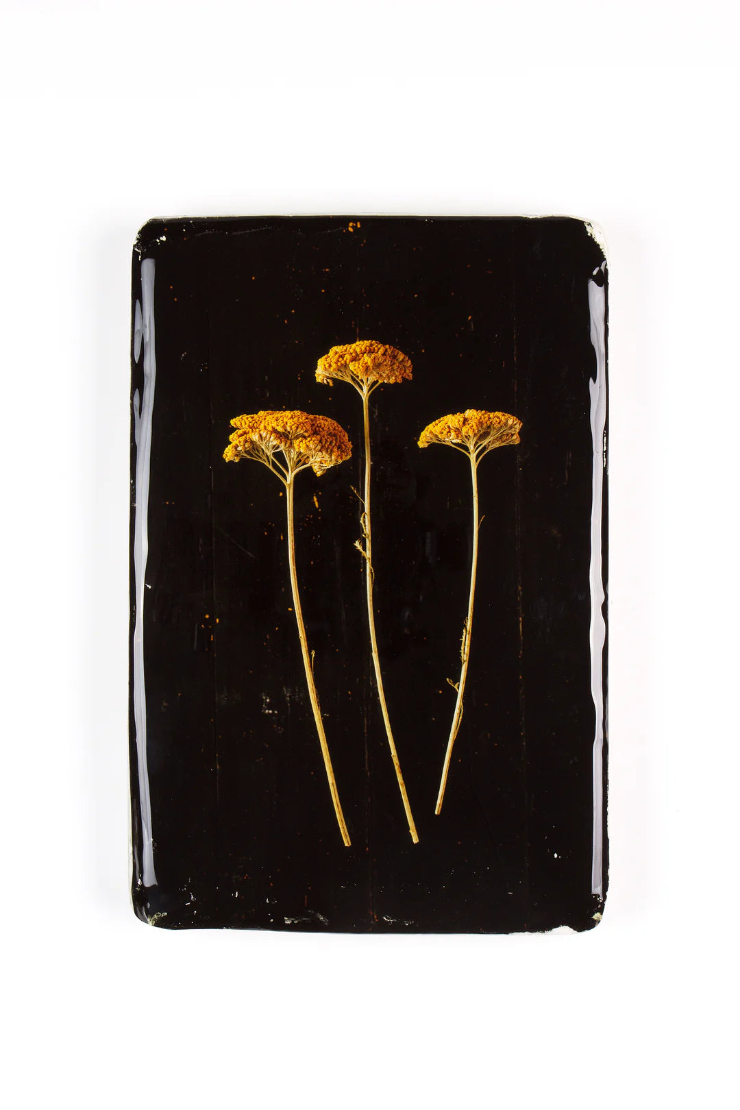StigerWoods wooden tile Achillea