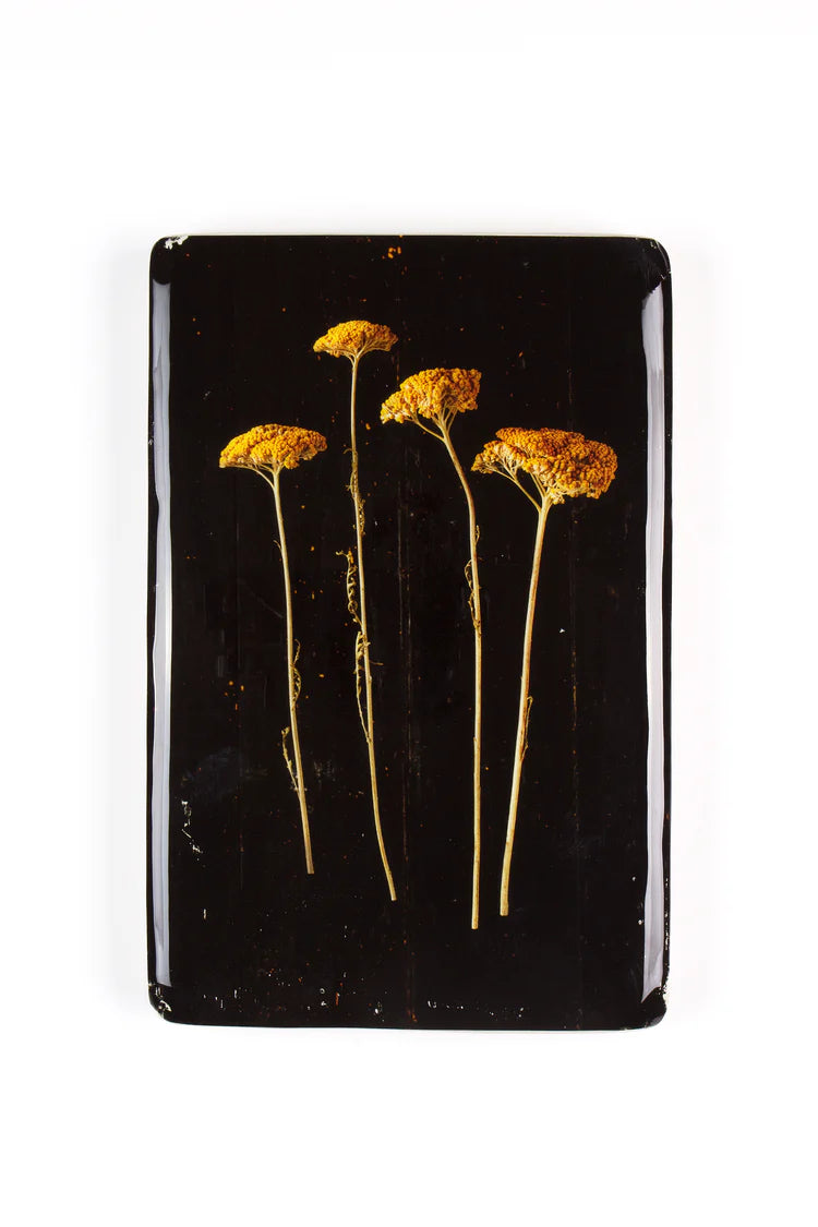 StigerWoods wooden tile Achillea