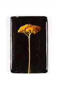 StigerWoods wooden tile Achillea