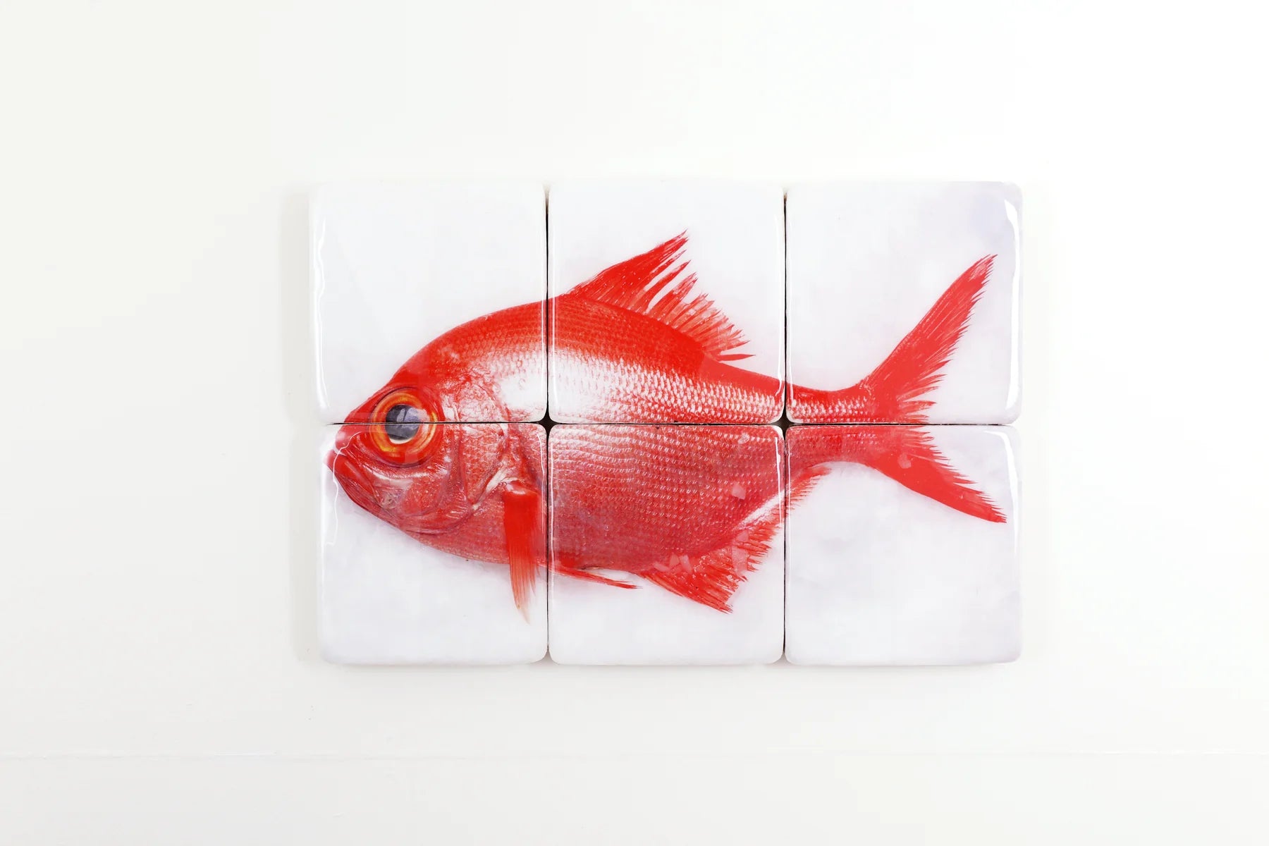 StigerWoods wooden tile Alfonsino