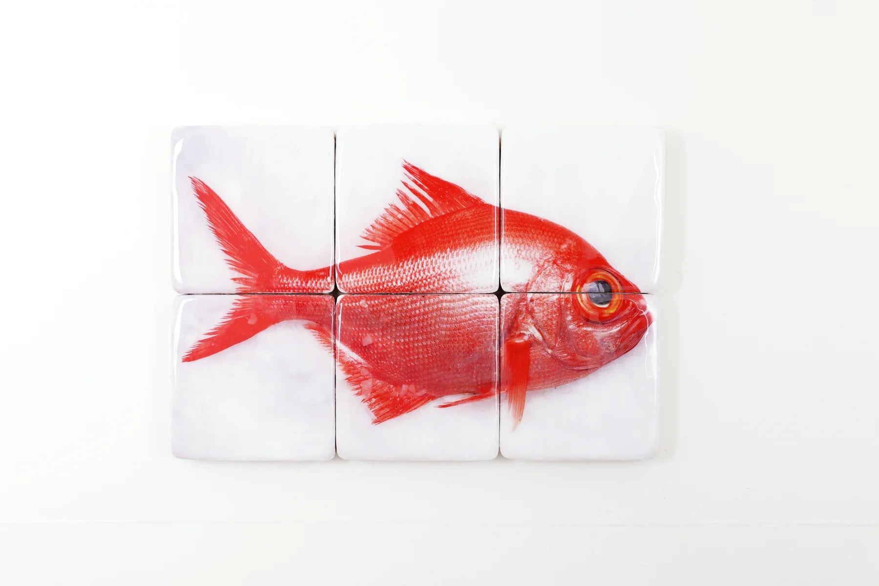 StigerWoods wooden tile Alfonsino