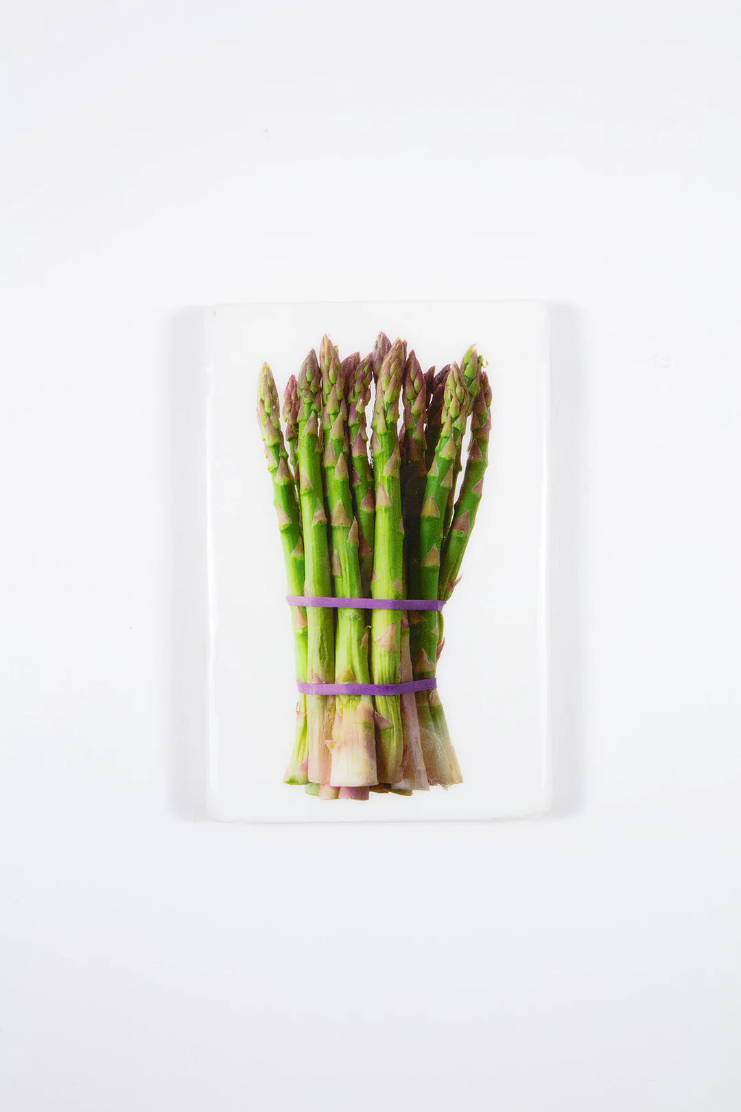 StigerWoods wooden tile Asparagus Purple Elastics