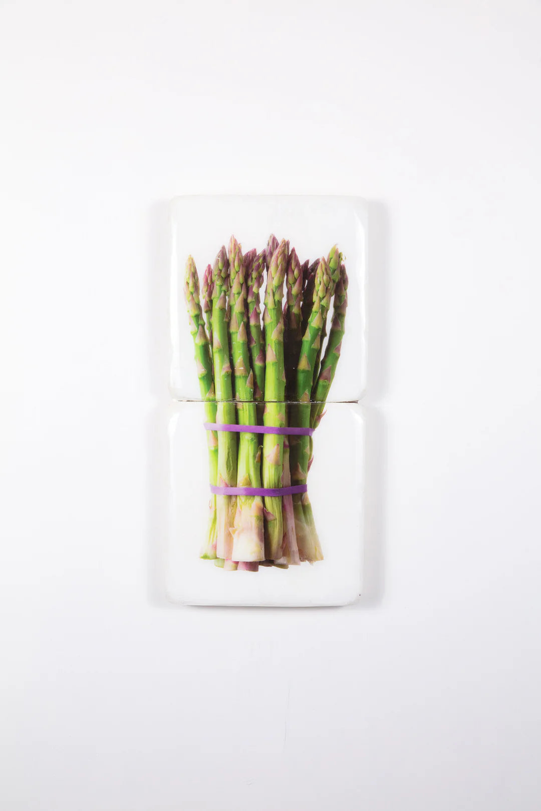 StigerWoods wooden tile Asparagus Purple Elastics