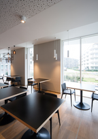 Wever & Ducré RAY hanglamp