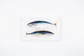 StigerWoods wooden tile Two Balinese Mackerels