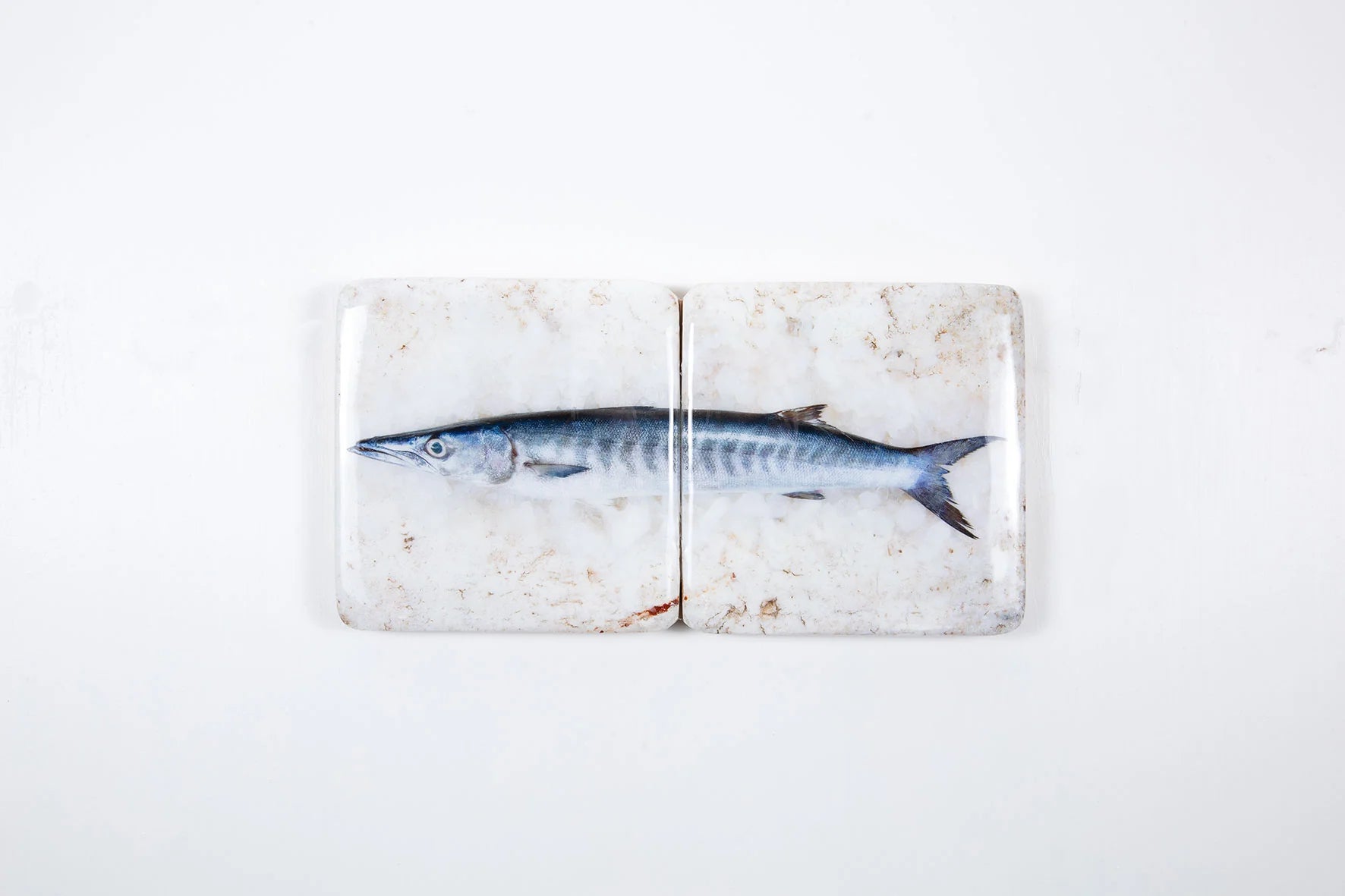 StigerWoods wooden tile Barracuda