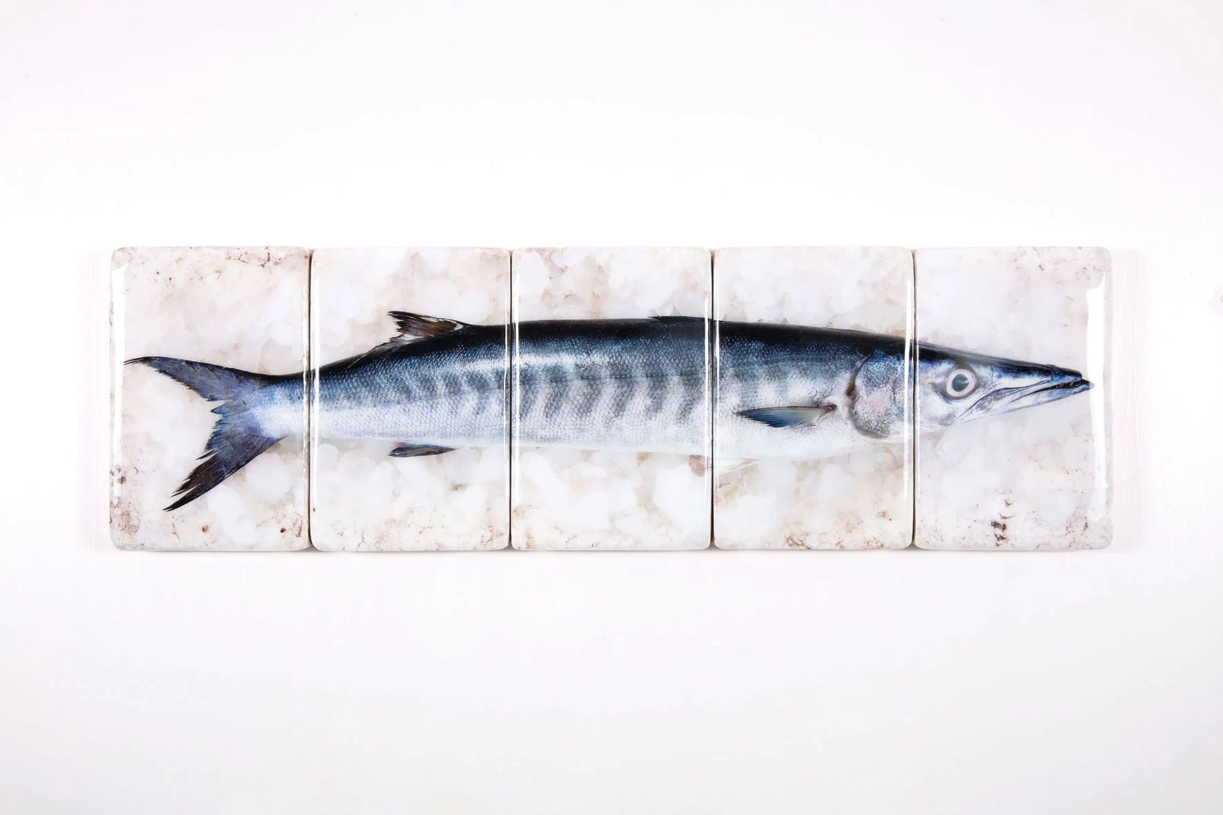 StigerWoods wooden tile Barracuda
