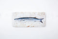 StigerWoods wooden tile Barracuda