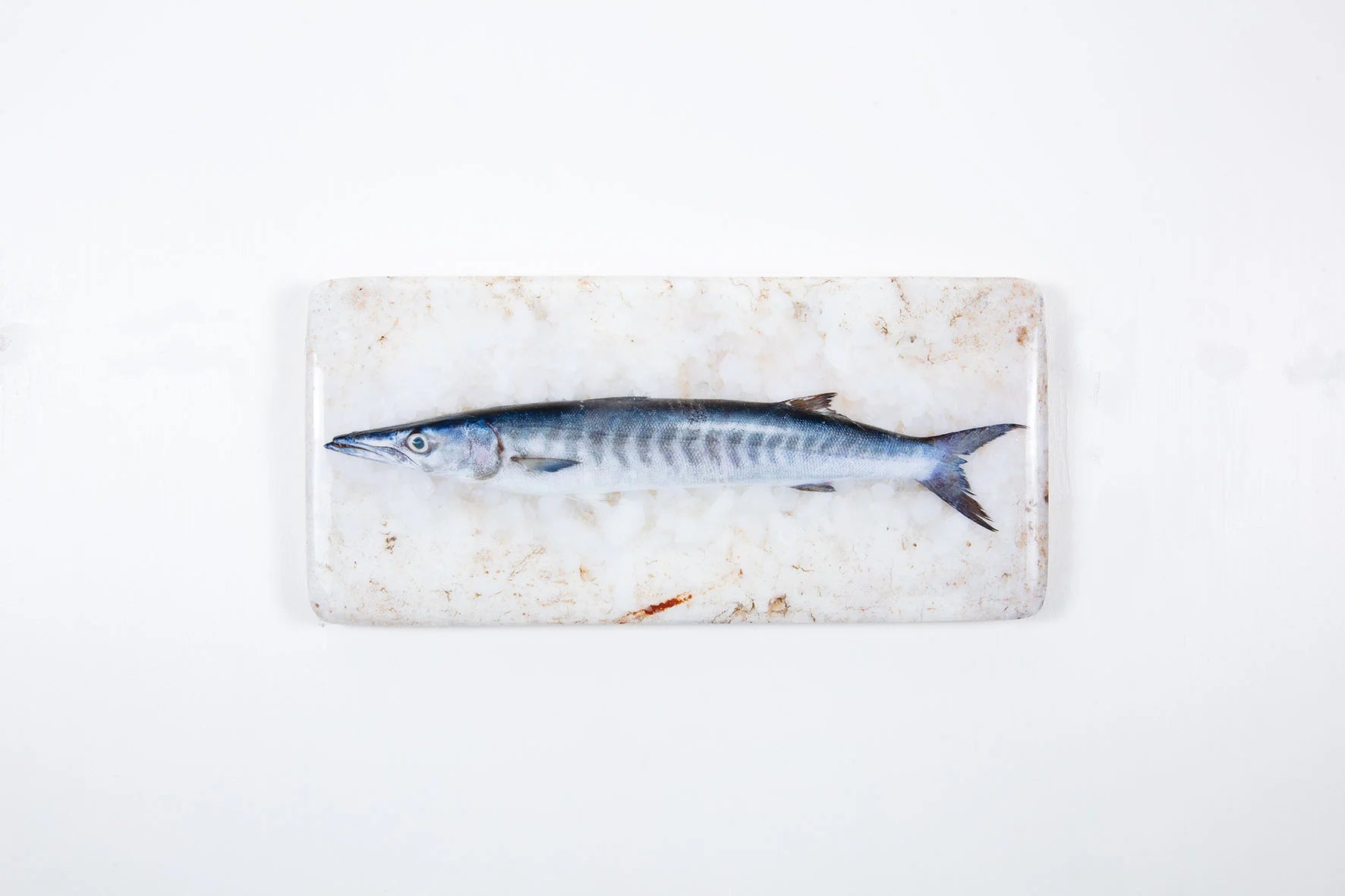 StigerWoods wooden tile Barracuda