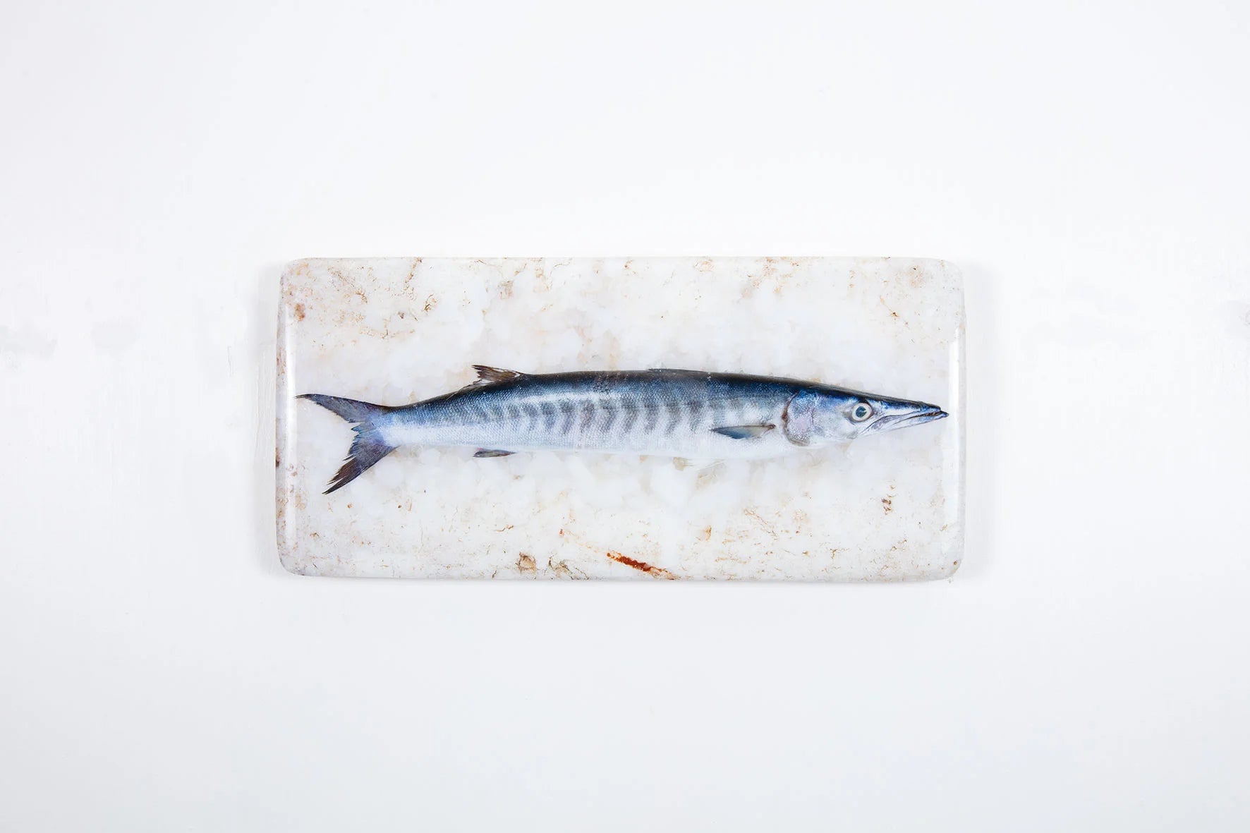 StigerWoods wooden tile Barracuda