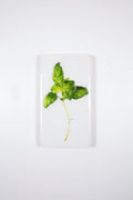 StigerWoods wooden tile Basil