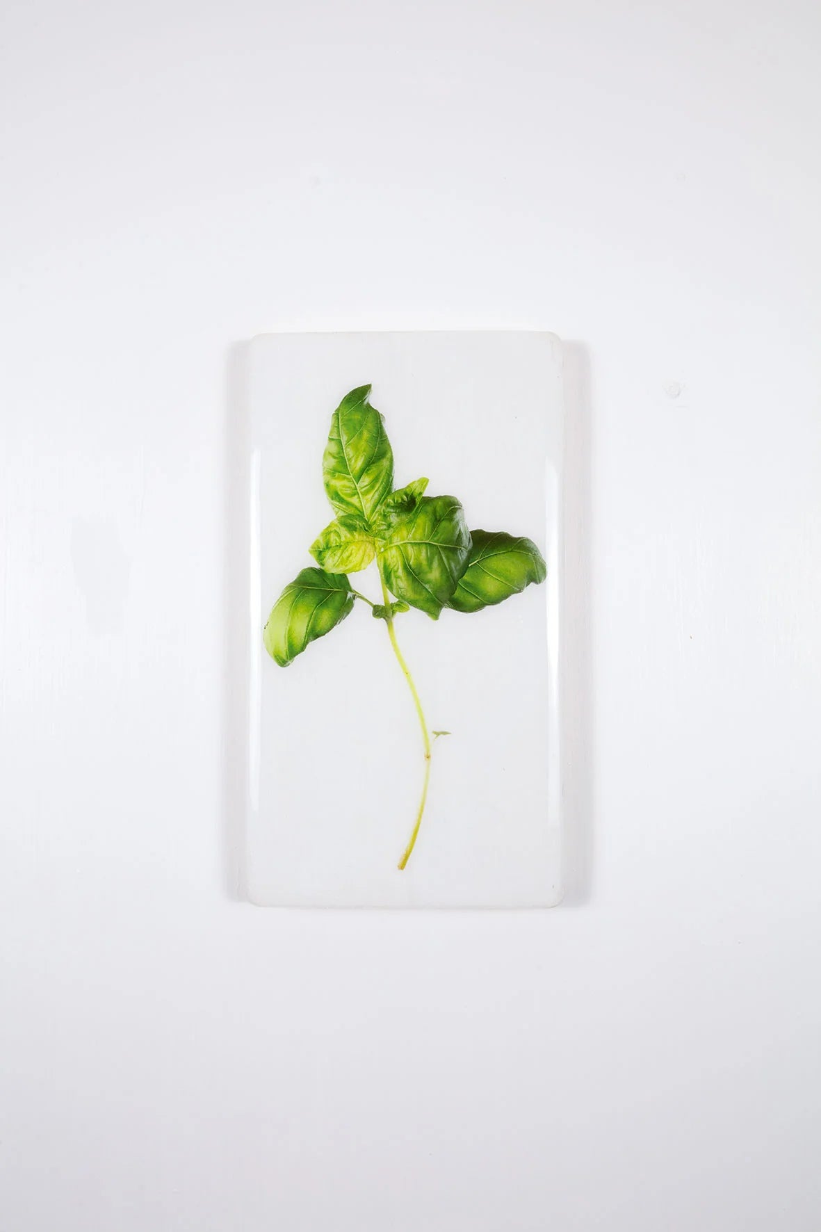 StigerWoods wooden tile Basil