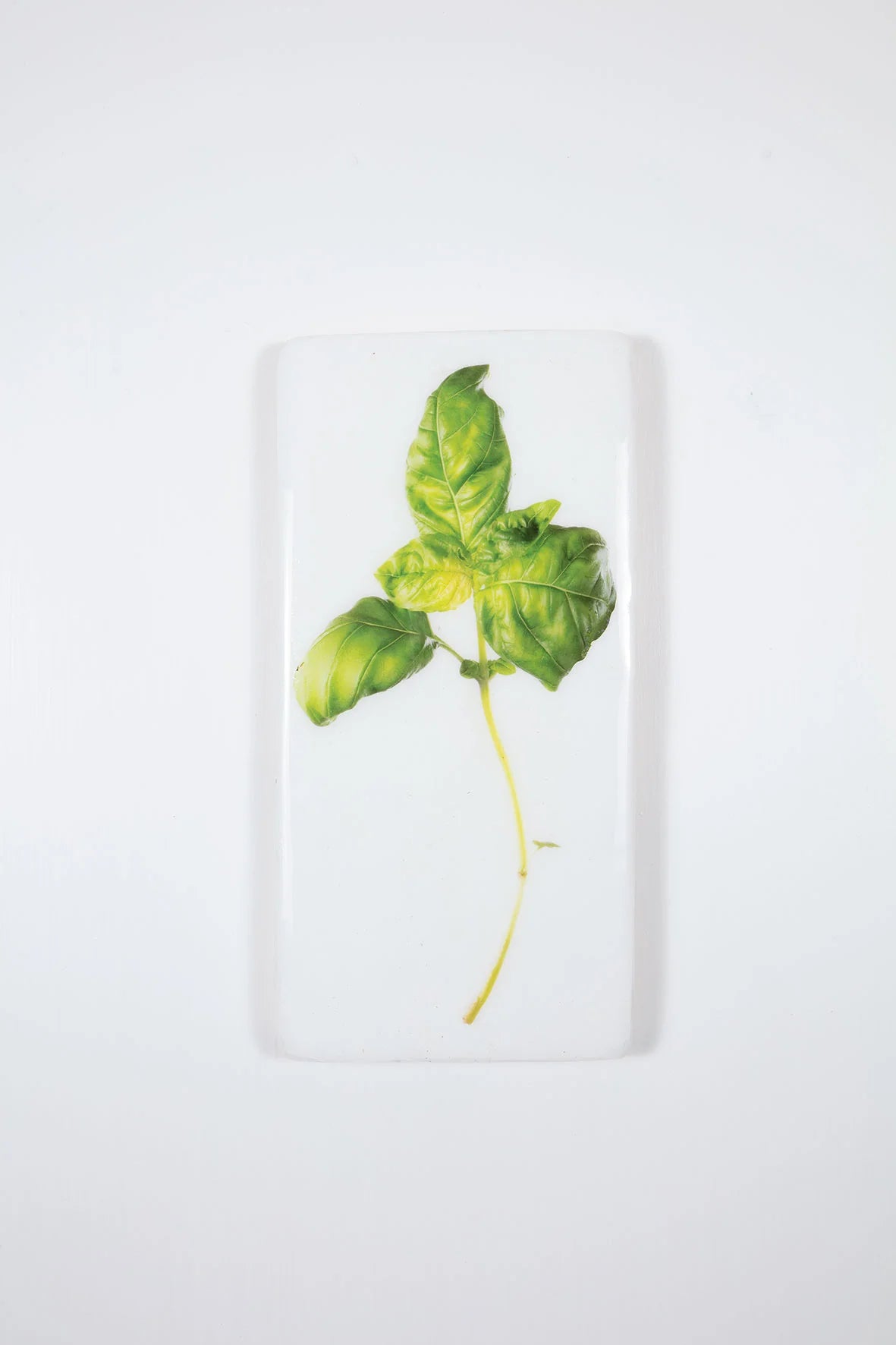 StigerWoods wooden tile Basil
