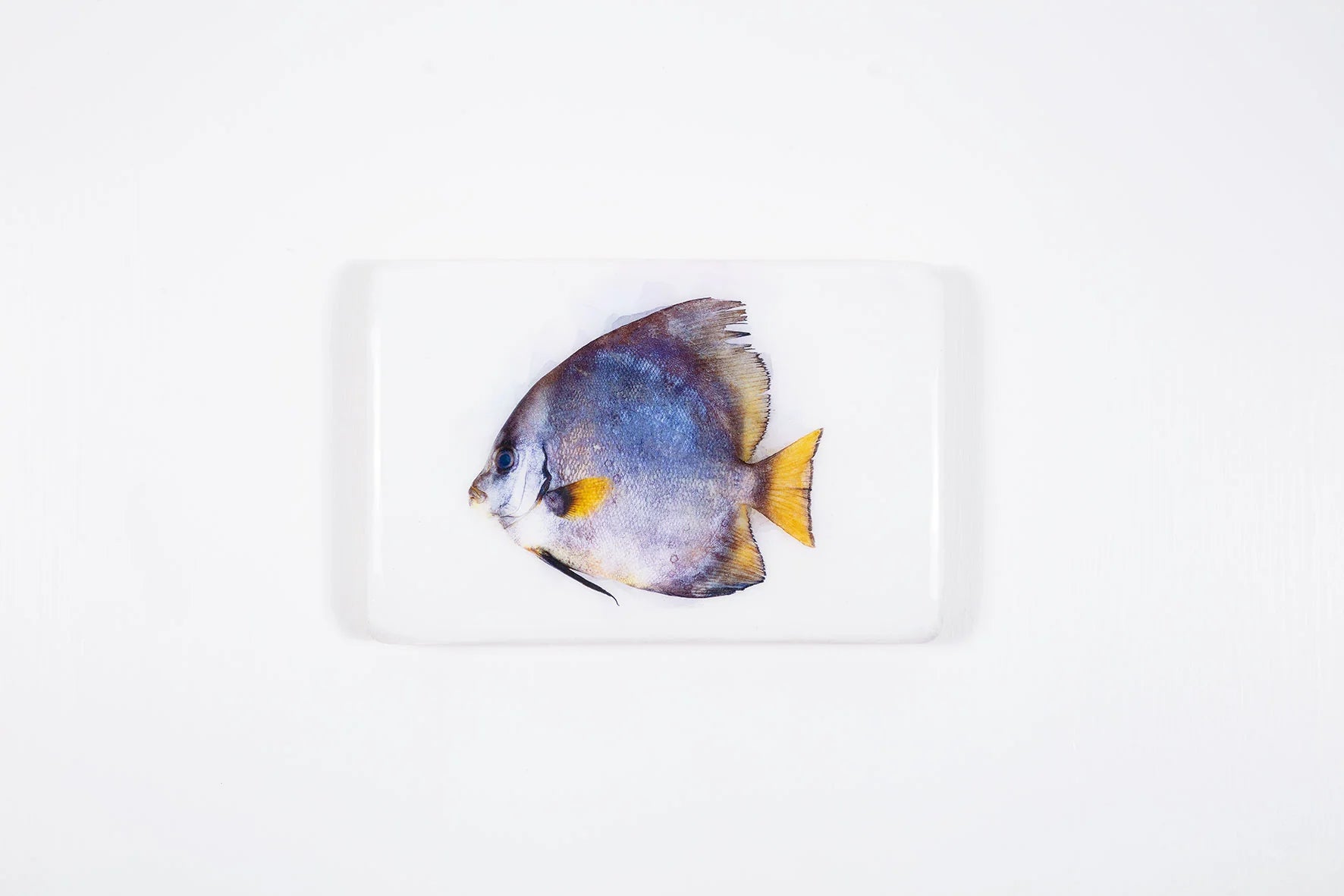 StigerWoods wooden tile Batfish