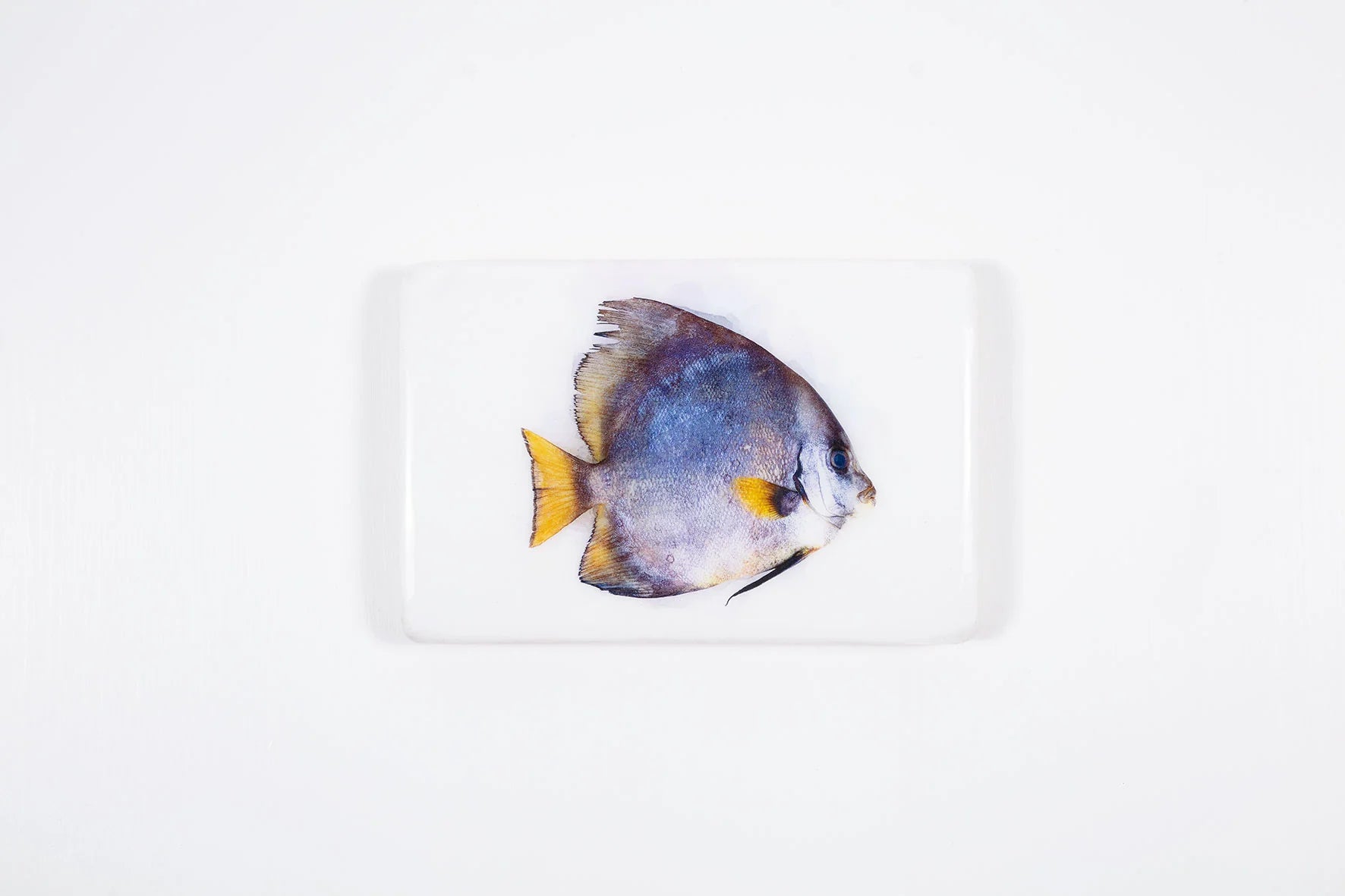 StigerWoods wooden tile Batfish