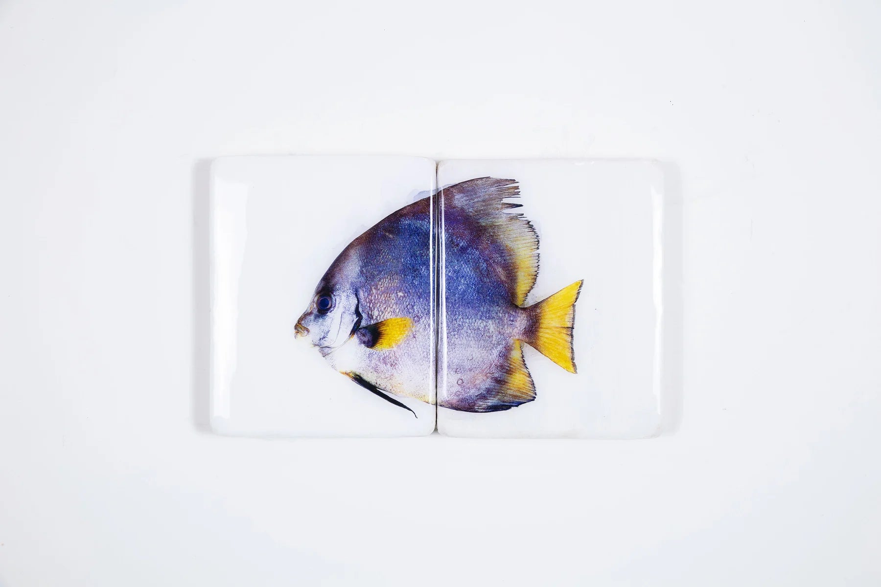 StigerWoods wooden tile Batfish