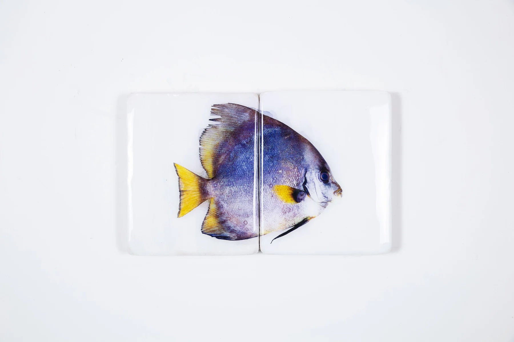 StigerWoods wooden tile Batfish