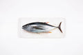 StigerWoods wooden tile Bigeye Tuna